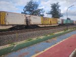ELBR FTT-032206-7